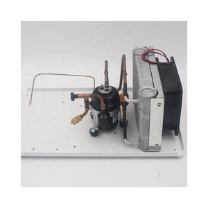 Dc 12v 24v mini soğutma ünitesi yoğuşmalı ünitesi HAVA SOĞUTUCU klima için kırmızı şarap soğutucu araba buzdolabı nem alma cihazı - Product Image 2