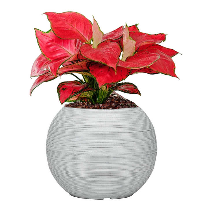 Popular Bonsai Pot Artificial Planter Hydroponic Vases Flower Pot Planter For Home