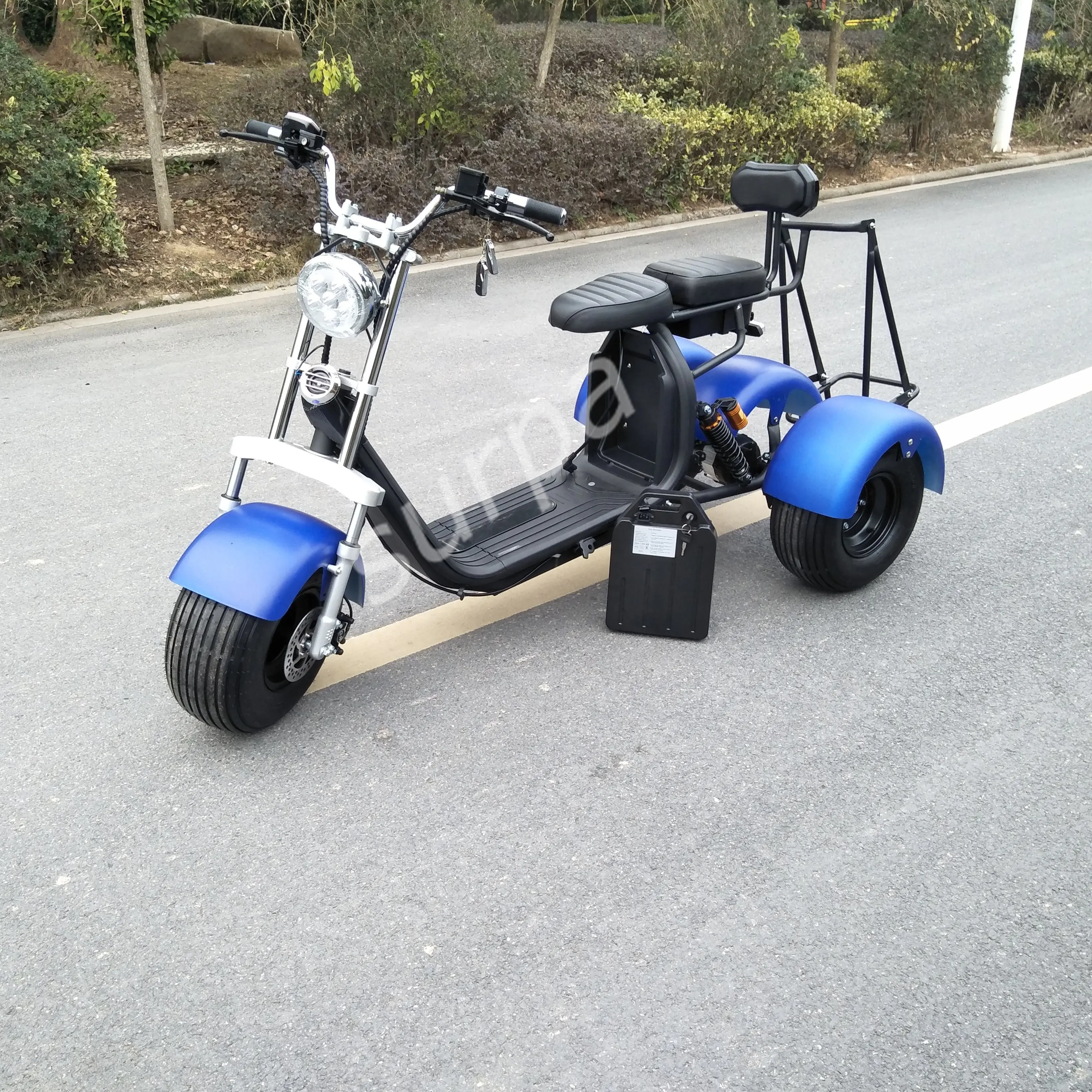 Citycoco — scooter électrique à pneus larges 3 roues, 1000w 2000w, livraison gratuite