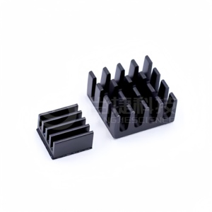 Scheda madre Raspberry Pi 2/B + dissipatore di calore dedicato lampone Pi2 generazione B tipo dissipatore di calore personalizzato - Product Image 1