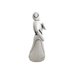 Advanced Platform Humanoid Artificial Intelligence <strong>Robot</strong> - Product Image 4