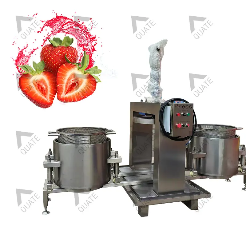 Snow pear paste bayberry apple crush press pear press double barrel rotating press