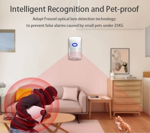 Danwish Alta Qualidade Tuya Smart Life Pet-Imune Detector De Movimento Sem Fio <span class=keywords><strong>Sensor</strong></span> <span class=keywords><strong>PIR</strong></span> Sistema De Alarme De Segurança Doméstica