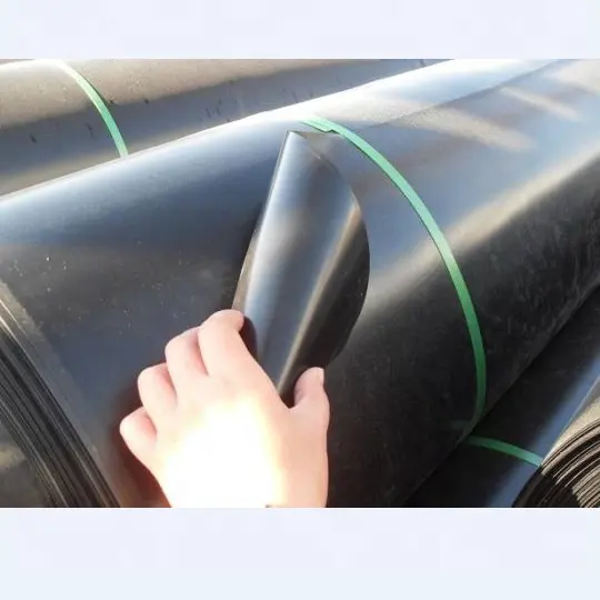 HDPE Waterproofing Plastic Geomembrane Sheet For Aquaculture Pond Liner