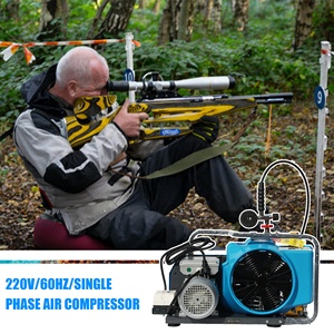 DMC 300bar 4500psi yüksek basınçlı hava kompresörleri boru hattı temizleme ve yağ/gaz boru hattı temizleme 3.5cfm 100L/min - Product Image 5