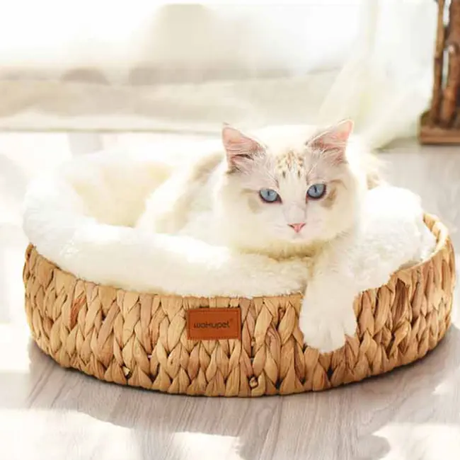Venta al por mayor de cojines para mascotas hechos a mano tejida acogedora cama para gatos mimbre diseño Simple cama cómoda para mascotas gato perro