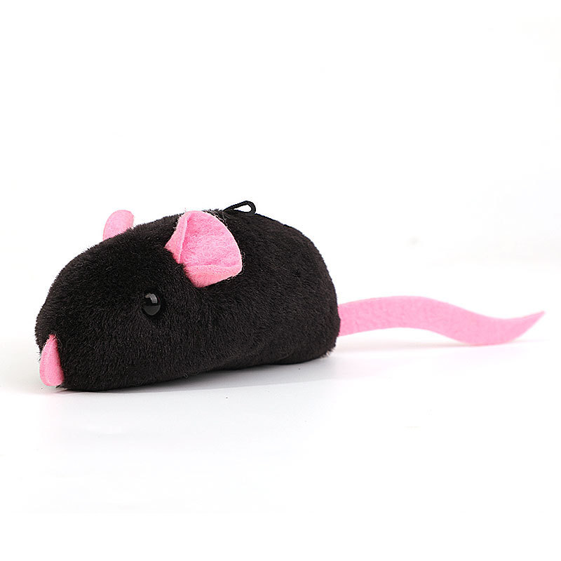 souris noire