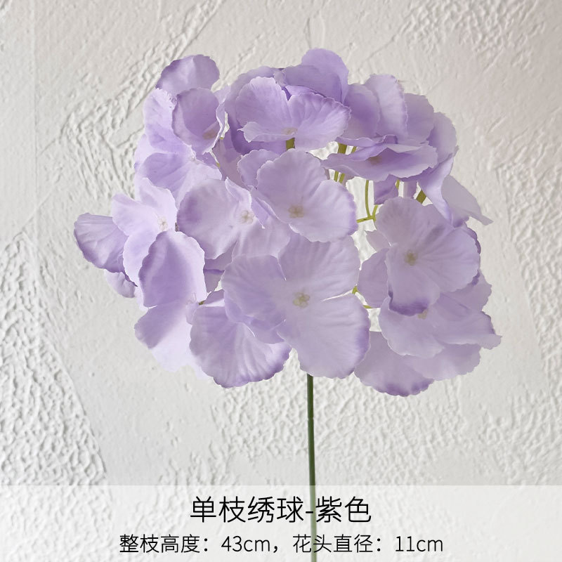 Hortensia de una sola rama morada