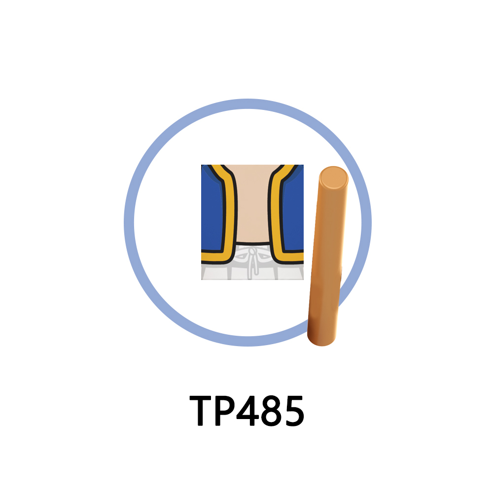 TP 485