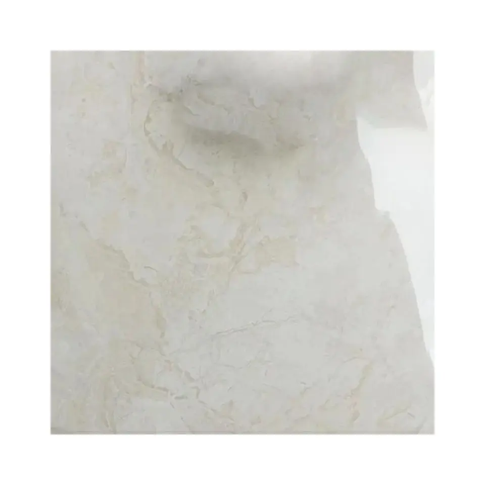 En céramique En Grès Cérame Poli Blanc 60x60 Importateurs