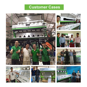 Clasificador de color de granos de café Wesort 2025, última tecnología combinada de IA y China para clasificación de granos de cacao y cerezas de café - Product Image 5