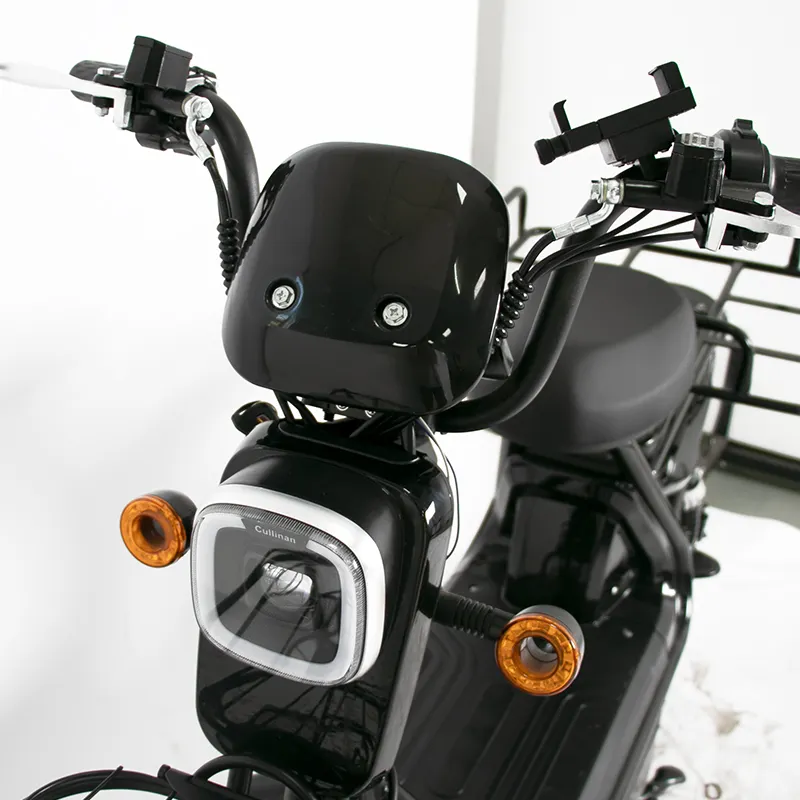 Thiết Kế Mới 500 Wát E-bike Giao Hàng Thức Ăn Nhanh Xe Đạp Điện Moped Chất Béo Lốp Xe Đạp Takeaway Xe Đạp Điện
