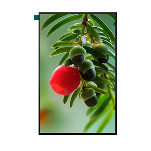 High Resolution 10.1 Inch Touch Screen TFT <strong>LCD</strong> <strong>Display</strong> OEM Screen Panel Competitive Price IPS Type LED LVDS TFT <strong>LCD</strong> Module - Product Image 3