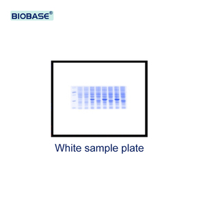 BIOBASE Automatic Gel Imaging Analysis <strong>System</strong> PCR <strong>Documentation</strong> Gel Document Imaging <strong>System</strong> for Lab - Product Image 3