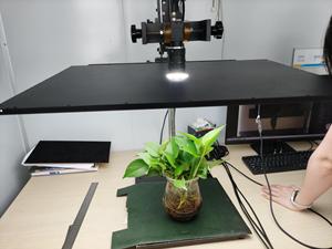 光学仪器用Kcs-KP-600-600-50机器视觉发光二极管背光开孔表面光源