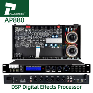 Paulkitson profesyonel dijital ön işlemci AP880 DSP ses efektleri İşlemci Metal ses sistemi ses işlemcisi - Product Image 1