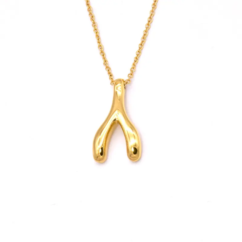 Lucky Symbool Charme Rose Gouden Koppels Plated Magical Wishbone Hanger Ketting In Roestvrij Stalen Sieraden