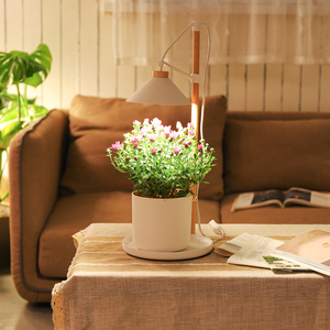 2024 זול סיטונאי חכם 9W מלא ספקטרום גידול אור שולחן Led צמח אור עץ עיצוב פופולרי עיצוב מקורה צמחים לגדל אורות - Product Image 5