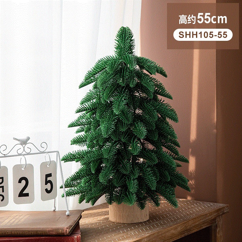 55cm cedar tree