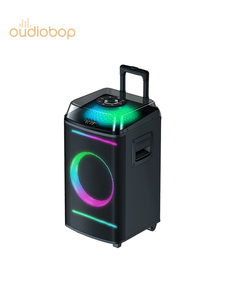 BK-26 10インチフラッシュファイアRGB LEDライトサウンドボックスホームシアターステージコンピュータ60W出力屋外パーティーの必需品 - Product Image 1