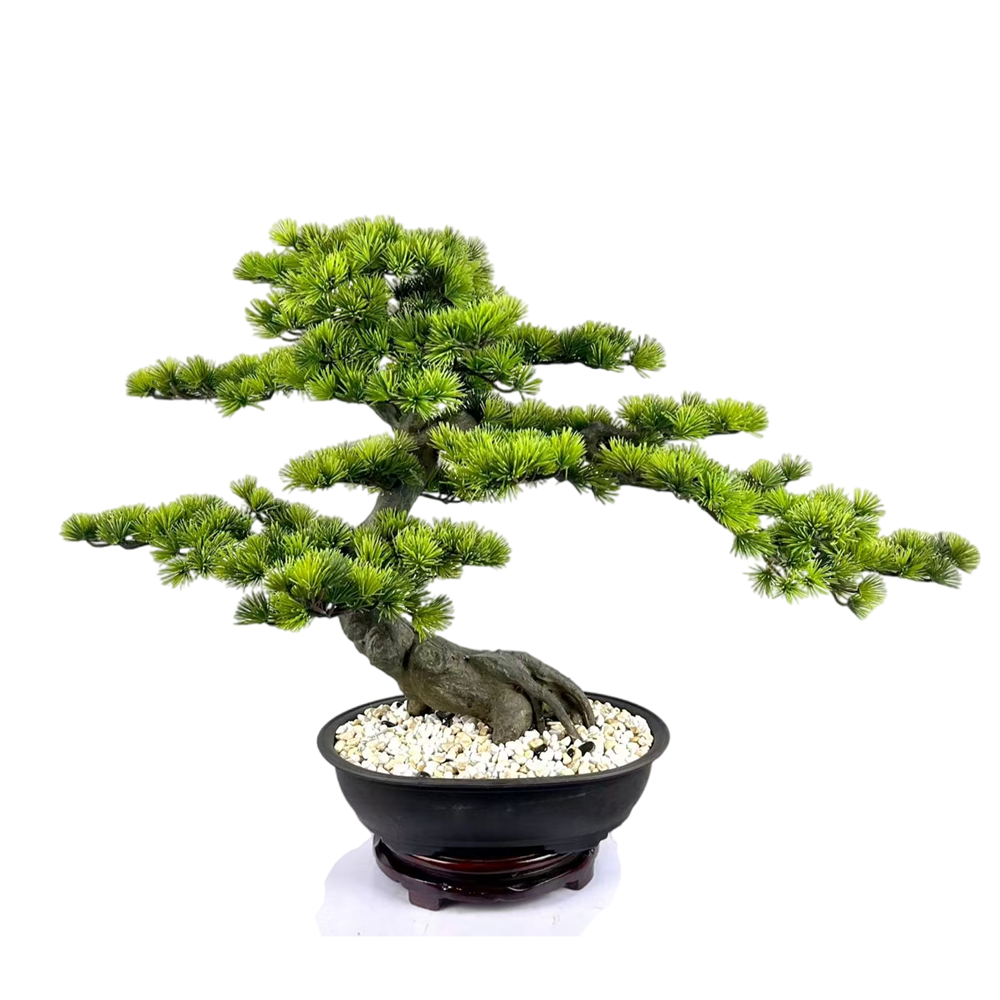 Verde-AP289