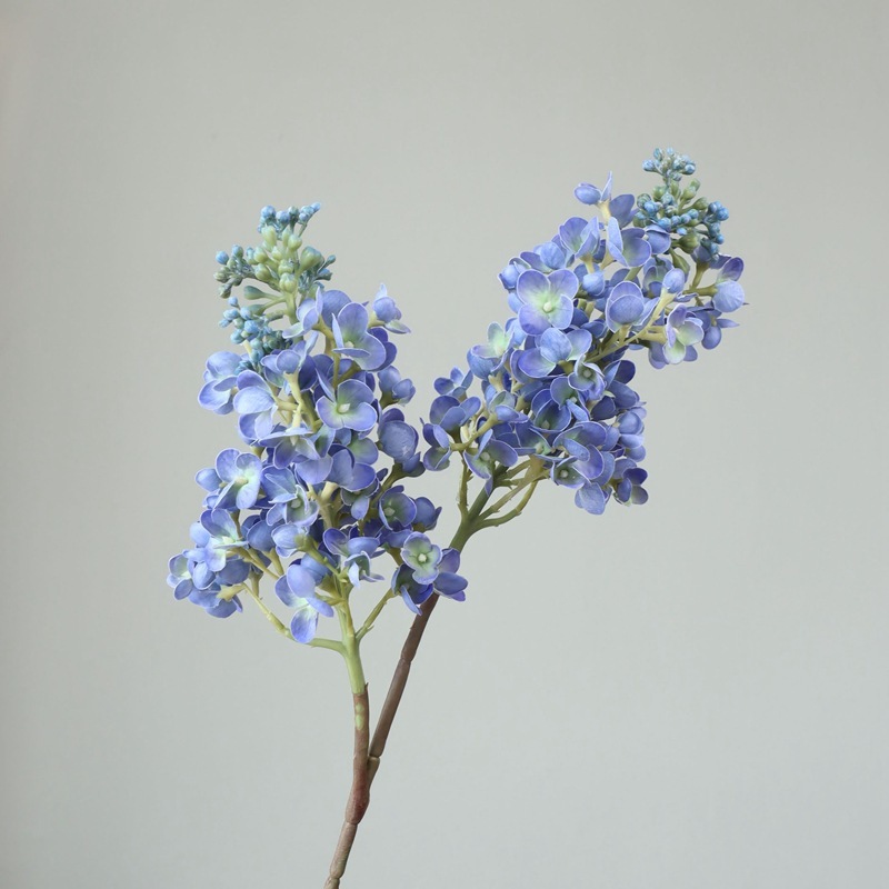 #3 blu