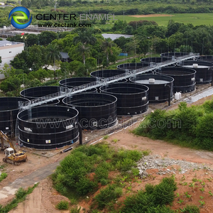 Anaerobik Digester/Biyogaz digester/Pirinç Saman Erdemli Ekonomik Döngüsü gelen Elektrik Üretmek - Product Image 5