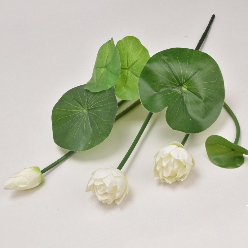 Gran Loto Blanco