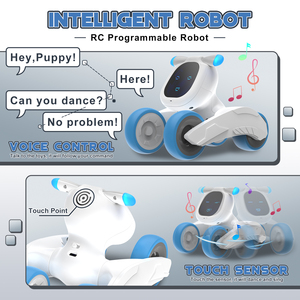 DWI Dowellin AI Robot cane giocattolo con espressione del viso e funzione di programma, musica e voce giocattoli per bambini
