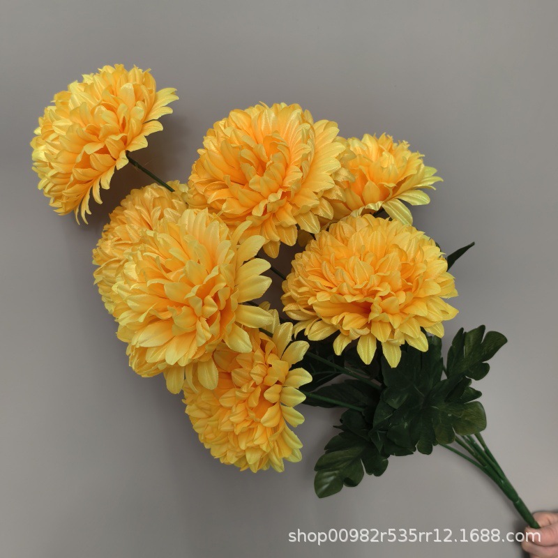 Chrysanthème à boules jaunes