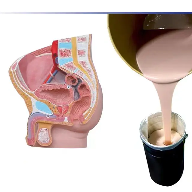 Vita colata in silicone gomma fegato umano cuore orecchio gigante stomaco cataratta occhio modello