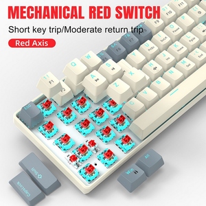 Teclado mecánico ergonómico con interruptor rojo de 61 teclas, LED azul hielo, USB 2,0, núcleo de brazo, Plug-and-Play para juegos, oficina, ordenador con cable - Product Image 3