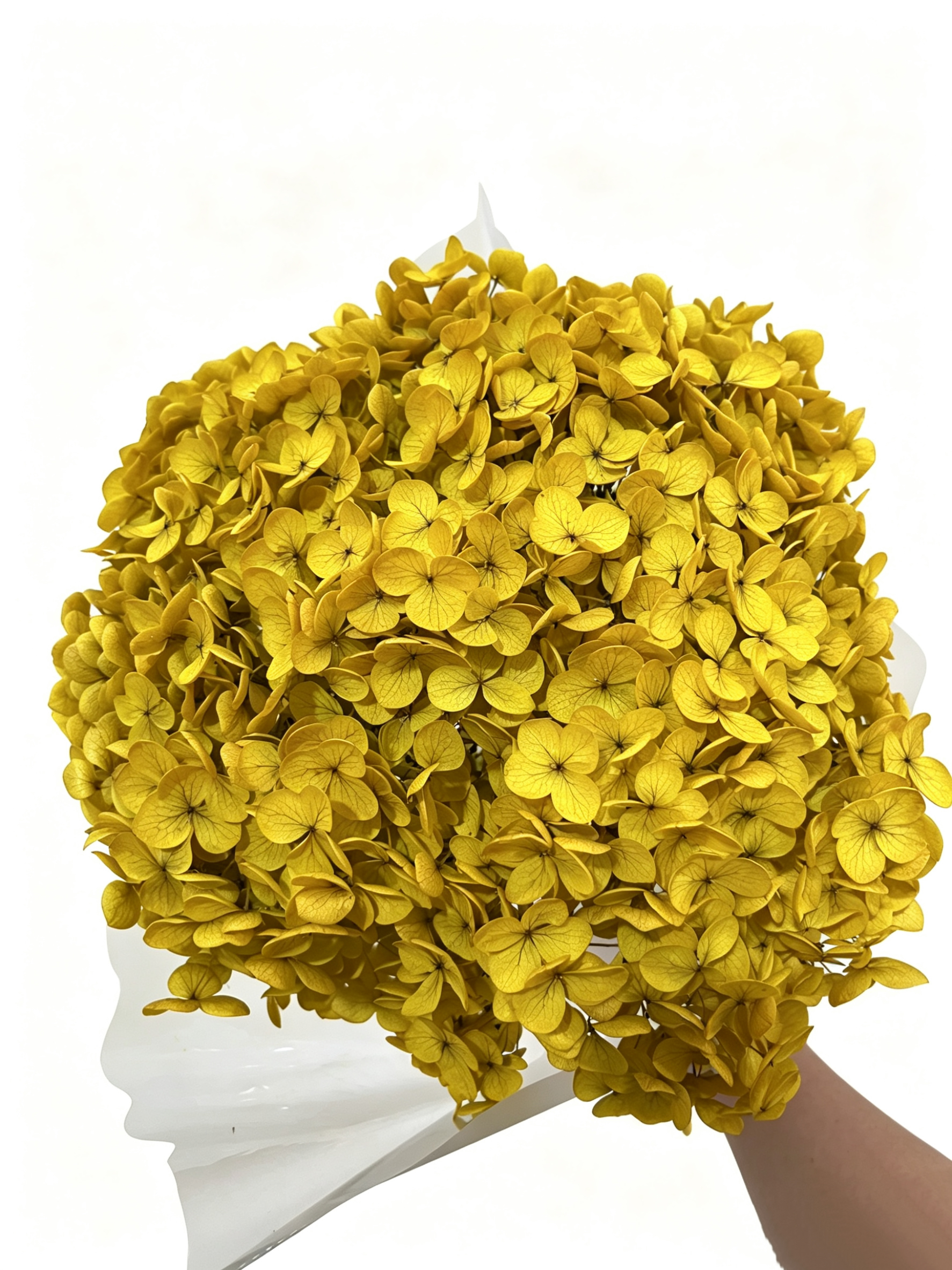 absorbing yellow