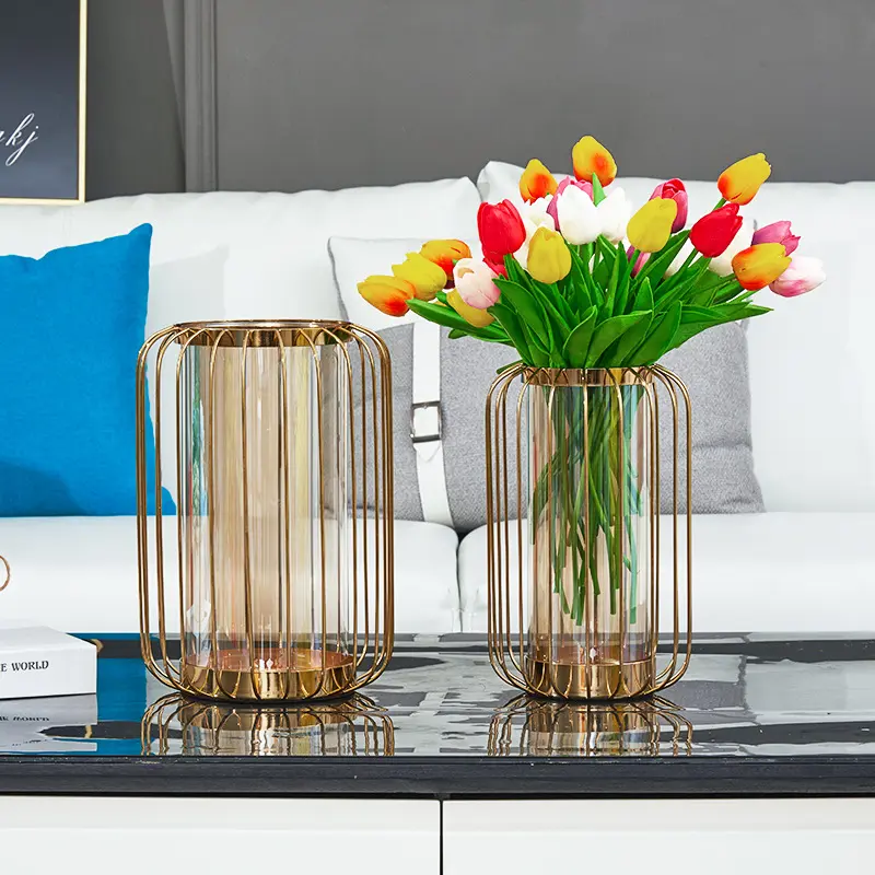 Ev dekorasyonu Modern İskandinav lüks Metal kuş kafesi şekli çiçek cam vazolar
