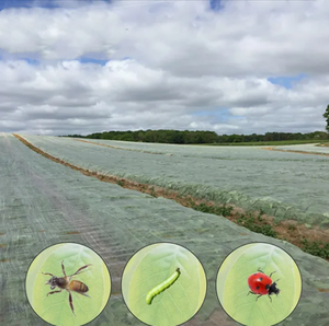 180*160*150 Greenhouse Polypropylene Insect <strong>Netting</strong> 40 Mesh Heavy Duty HDPE <strong>Bug</strong> Anti-Insect Protection for Crops - Product Image 6
