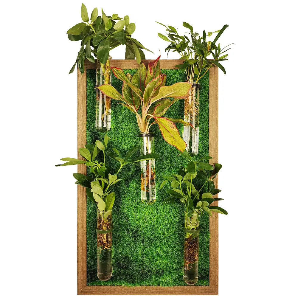 Vaso de flores para plantas hidropônicas, vaso transparente de vidro para plantadores com tubo de ensaio de musgo, ideal para uso doméstico
