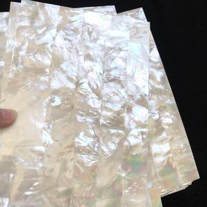 Özel bir fiyata satılan XE-074 özelleştirilebilir renkli kabuk duvar kağıdı abalone kabuk kiremit - Product Image 2