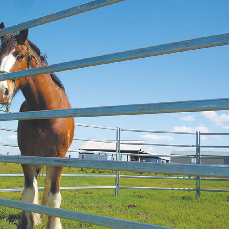 Coated round Tube Galvanized Steel Farm Fence Gate Rural Electric Fence for Cattle and Cow Breeding Metal Panels for Livestock