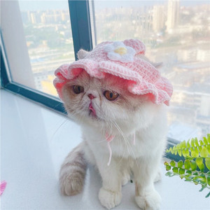 El yapımı örgü Pet golf sopası kılıfı, kedi ve köpek küçük cins kaprisli ve sevimli kostüm şapka - Product Image 2
