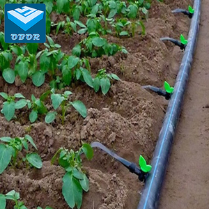 PE Material Plastic Irrigation <strong>Tube</strong> 1 1/2 Inch 32mm 40mm Flexible <strong>HDPE</strong> Coil <strong>Roll</strong> Pipe 250mm 355mm <strong>Tube</strong> for Agriculture