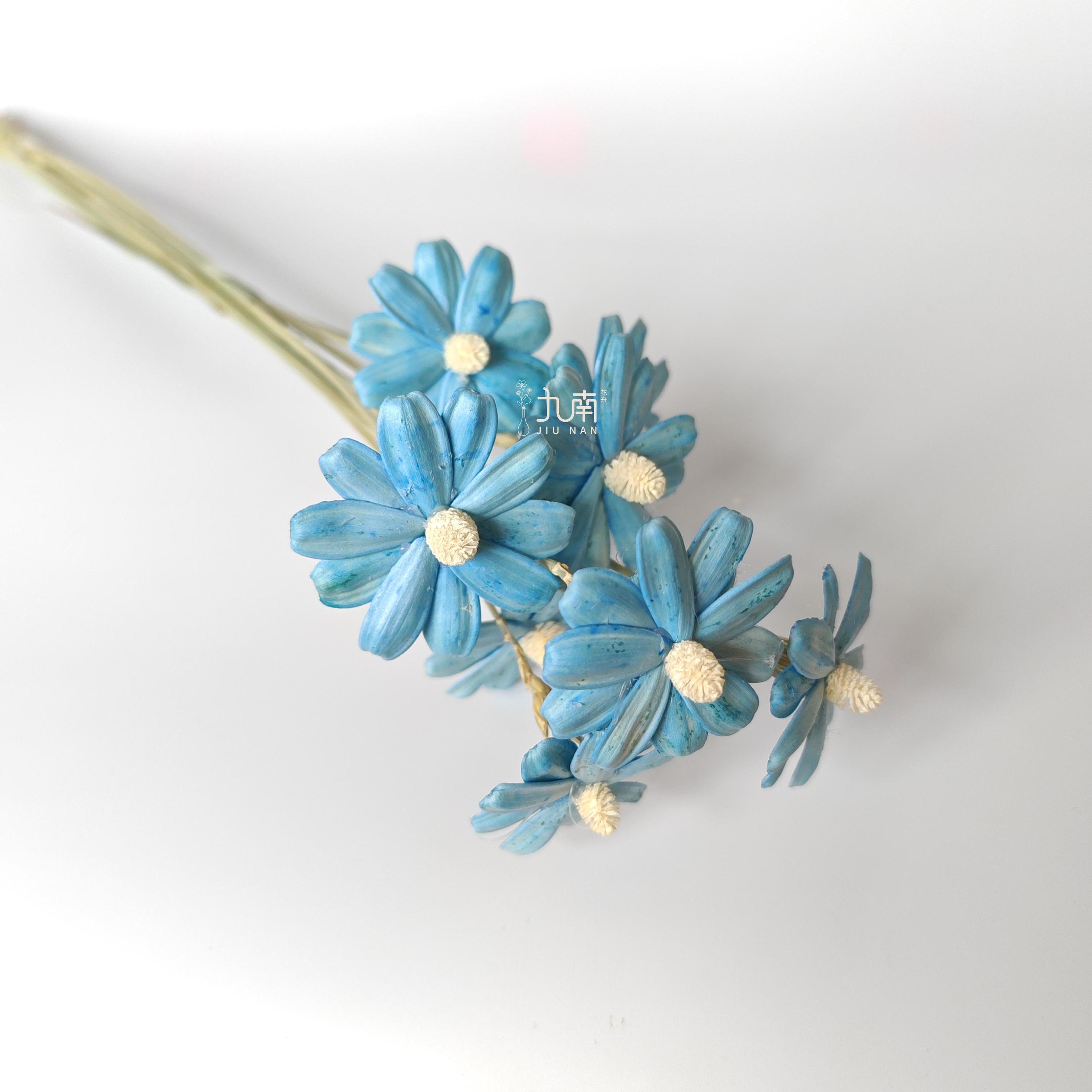 Sky Blue 10 pcs/bundle
