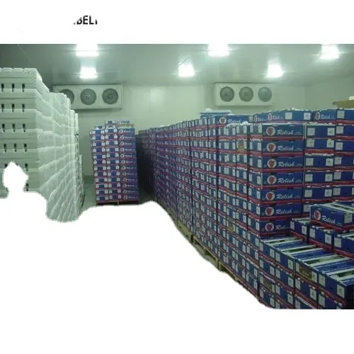Sala de refrigeración grande para patatas, 1000 toneladas