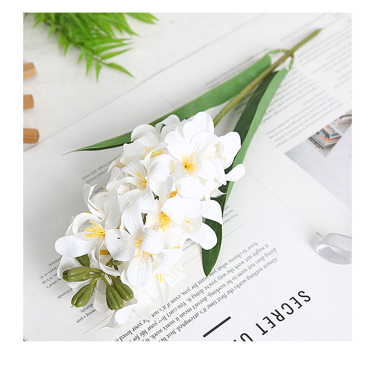 Blanco