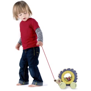 Wheelset Wooden Pull Along Hedgehog Pal <strong>Toy</strong> with Four-wheeler and Remote Control Leash - Product Image 1