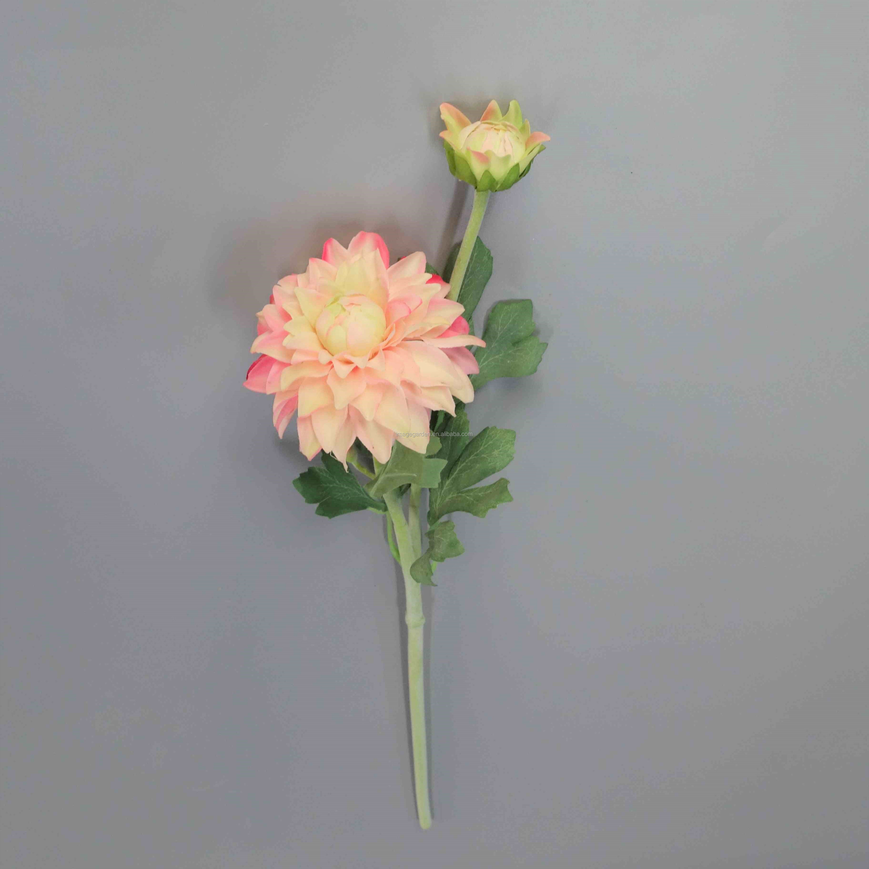 Bellezza rosa