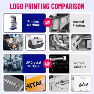 Tekerlekler üzerinde doğrudan satış büyük dayanıklı PP kulübesi köpek kedi sandık taşıyıcı tel kapı uçuş taşıyıcı ile yavru ve kediler için - Product Image 5