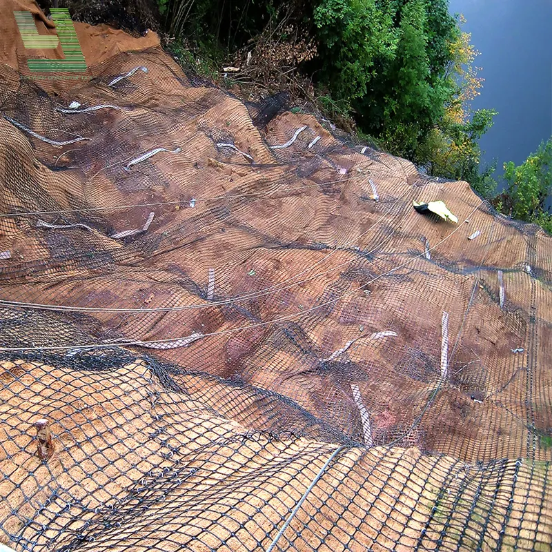 Estabilização Rodoviária do Solo Polipropileno elástico de alta resistência Plástico geogrelha preto biaxial