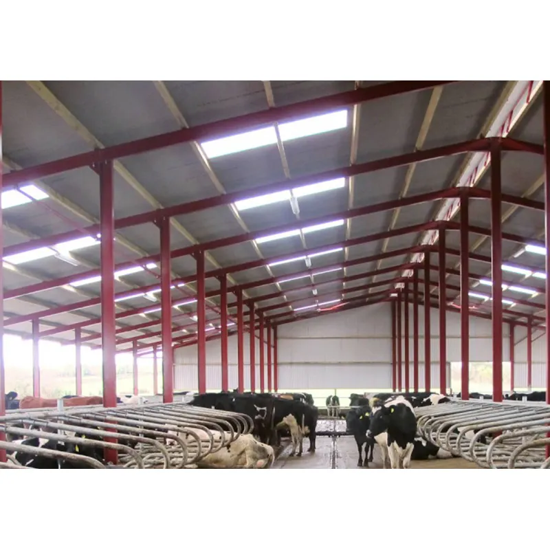 Hızlı yapı prefabrik çelik yapı inek süt sığır ev satılık çiftlik döken