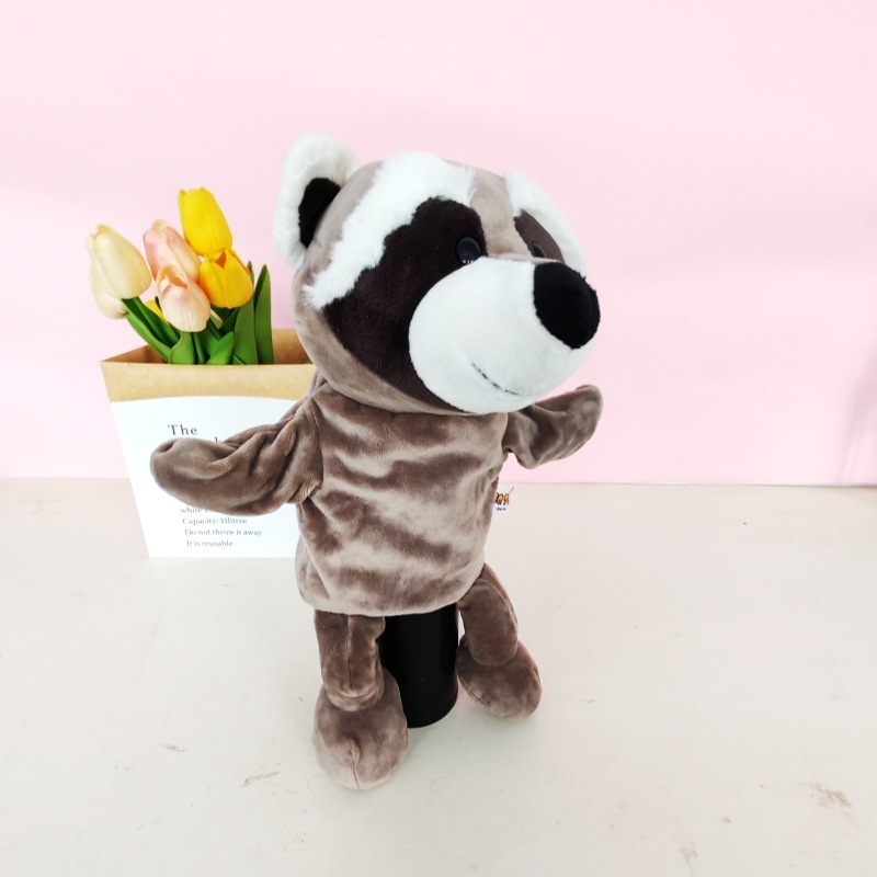 Gray raccoon