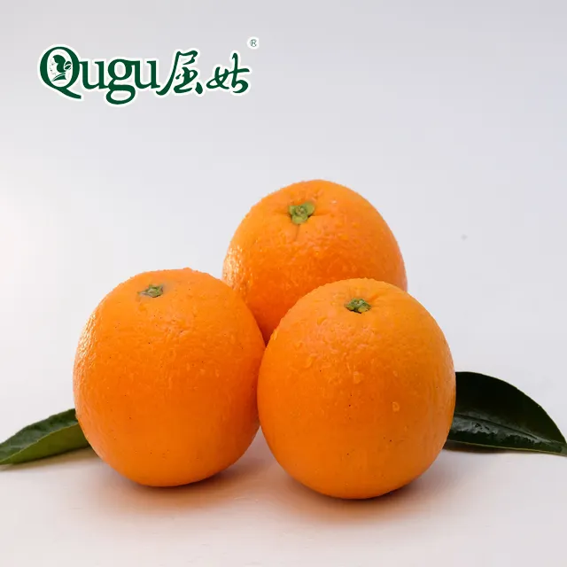 new season good taste fresh Navel Orange, fresh orange, China orange,